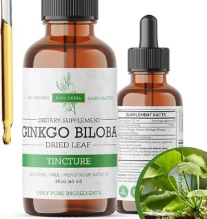 Ginkgo Biloba Extract Liquid 2 Fl Oz Supplements for Brain Function and Memory Support